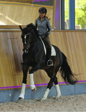 Pretendenthoeve gaat samenwerken met Hofgut Rosenau featured image