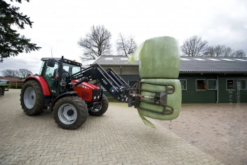 Hebben paarden beter ruwvoer nodig dan koeien? featured image