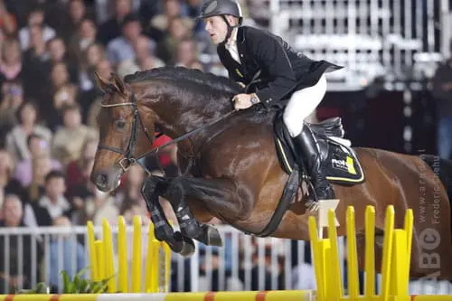 Oldenburger GP-hengst Sandro Boy naar Frankrijk featured image