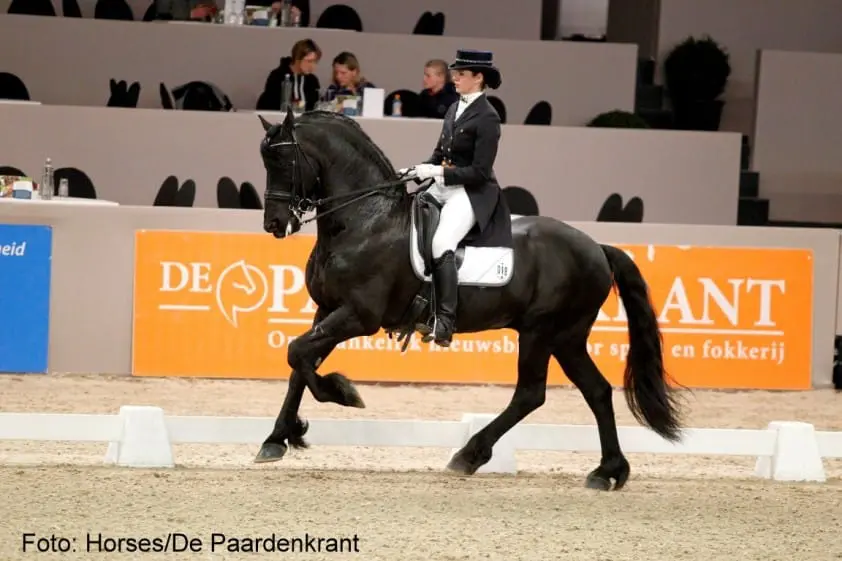 Twee Friezen toegevoegd aan selectie MGPNGP featured image