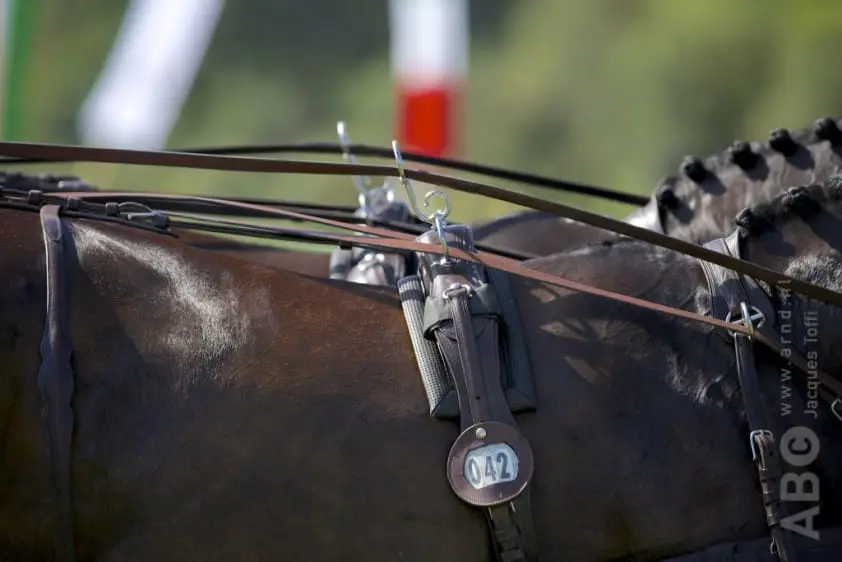 Oostenrijkse Marisa Rössler aan de leiding na eerste dressuurdag featured image