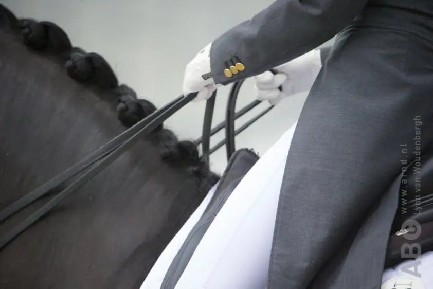 Renken en Charming Lady charmeren de jury featured image