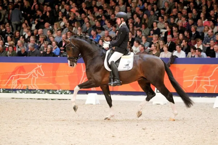 Joop van Uytert verhuurt KWPN-hengst High Five US featured image