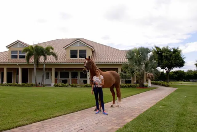 Leida Collins hele seizoen met paarden en gezin in Amerika featured image