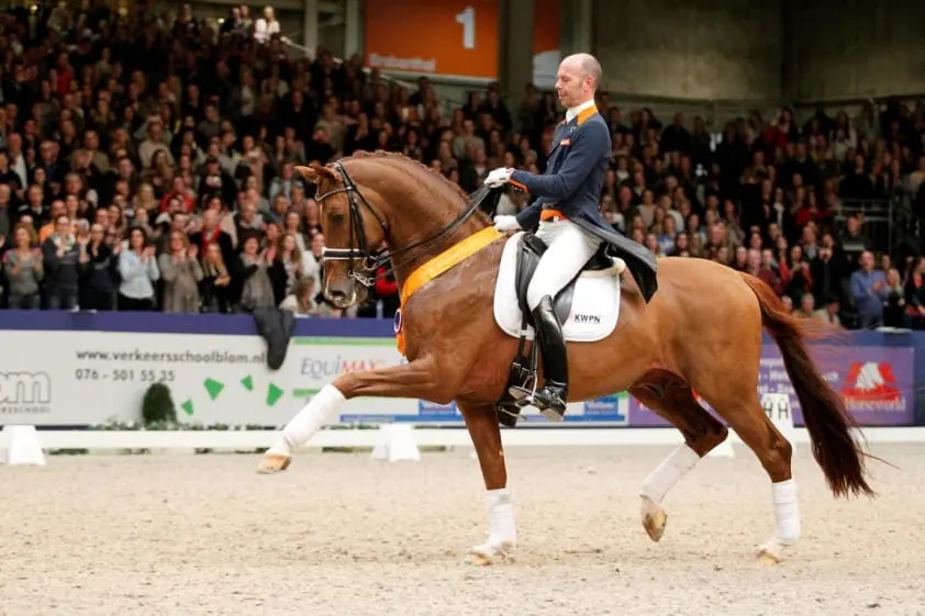 Preferente hengst Vivaldi (23) overleden: een boegbeeld voor de Nederlandse dressuurfokkerij featured image