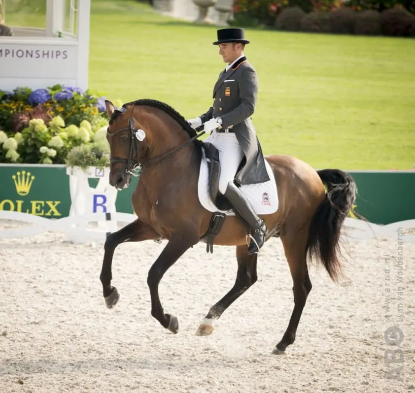 Gepensioneerde Grandioso HGF ontvangt dekbrevet featured image