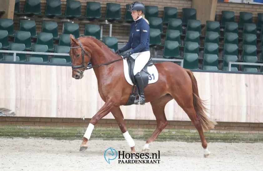 Topscores in EPTM test featured image