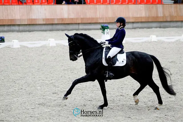 Lynne Maas na 70%: ‘Nu meer routine krijgen’ featured image