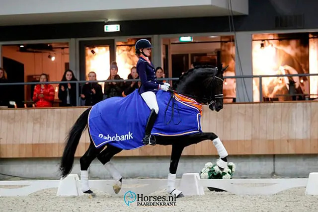 El Capone verkocht aan Andreas Helgstrand featured image