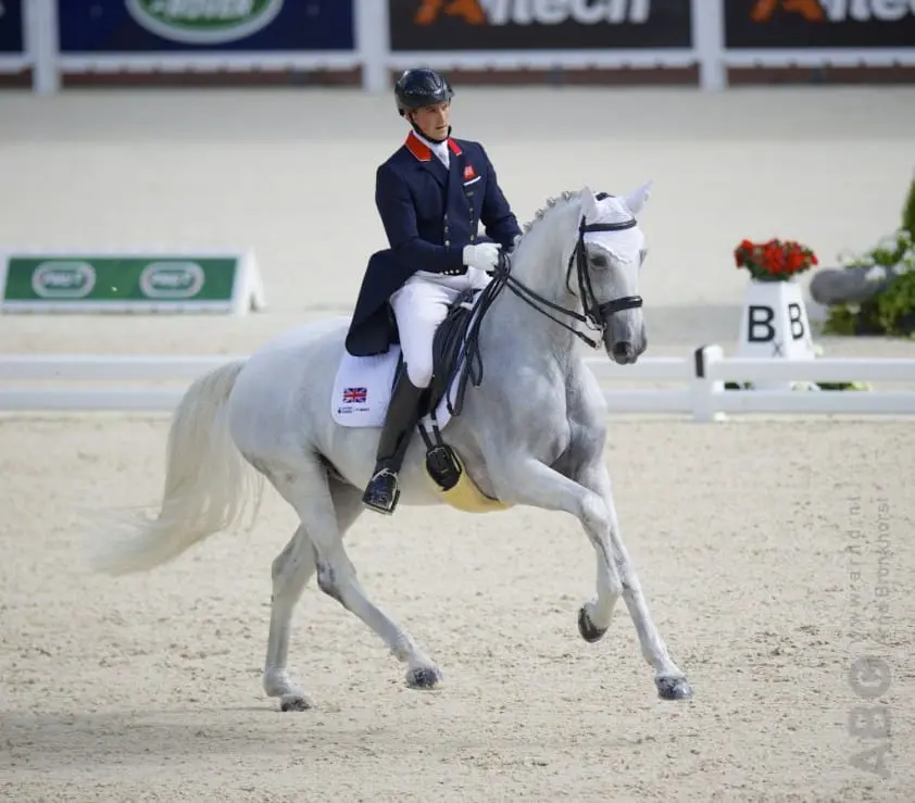 Eilbergs Grand Prix-paard na ernstig ongeluk weer thuis featured image