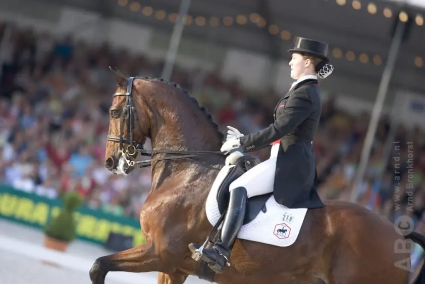 Stal Hexagons eerste zelf gefokte GP-paard overleden featured image