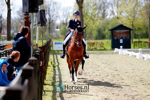 Bo Oudhof wint kadervorming young riders in Zwolle featured image