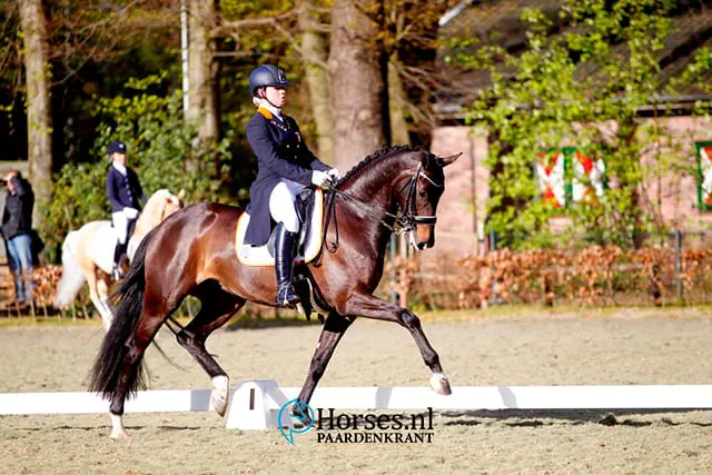 Deelnemers Team Challenge Jumping Amsterdam bekend featured image