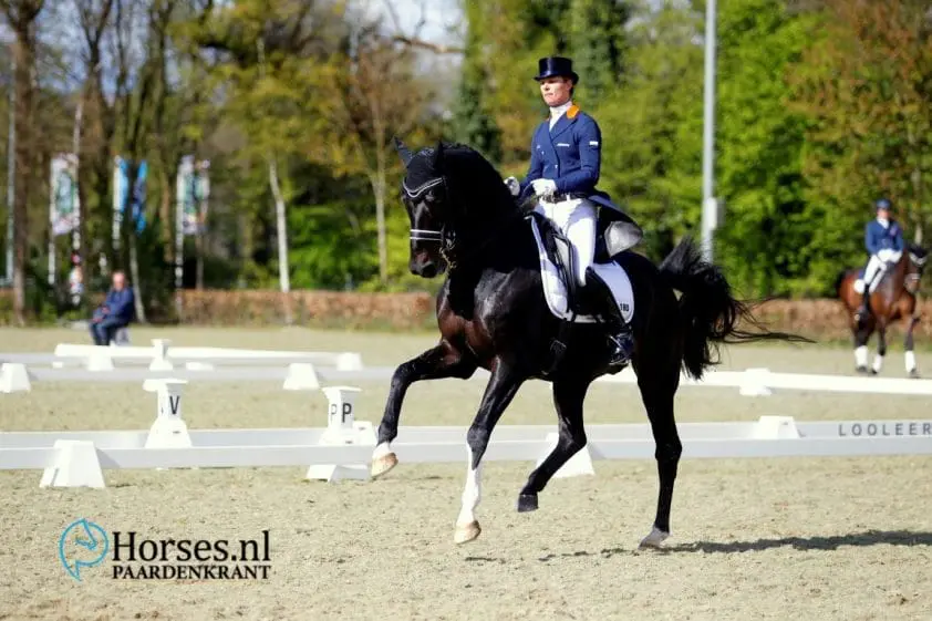 Zevende plaats voor Aqiedo in Grand Prix featured image