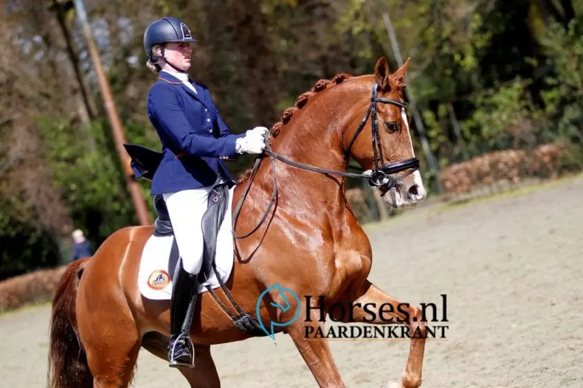 Lichte Tour paard Discovery naar Taiwan featured image