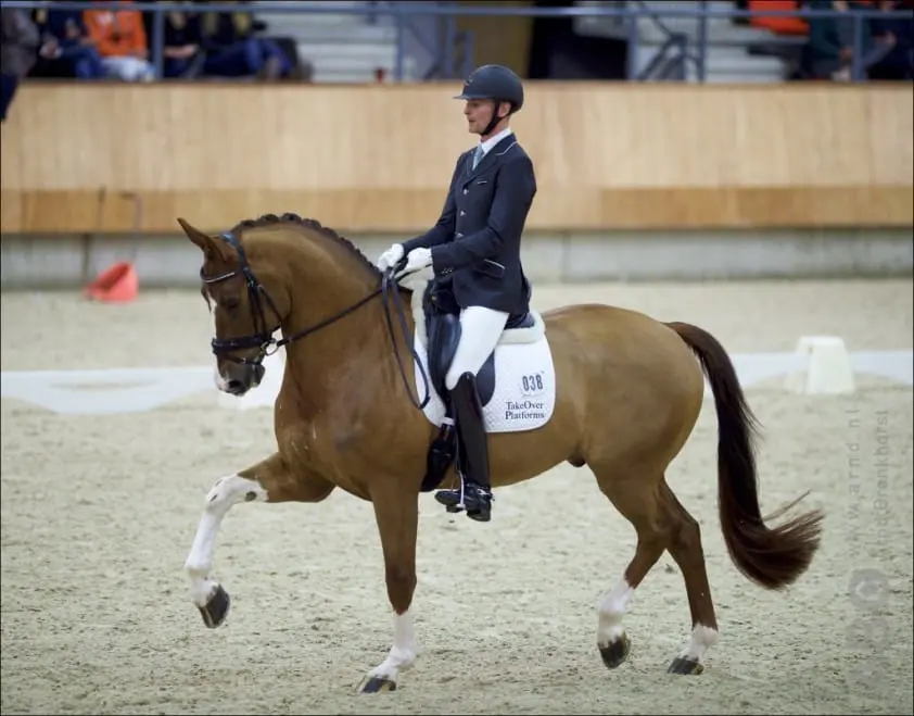 Hanzons Top’s Eddieni verkocht featured image