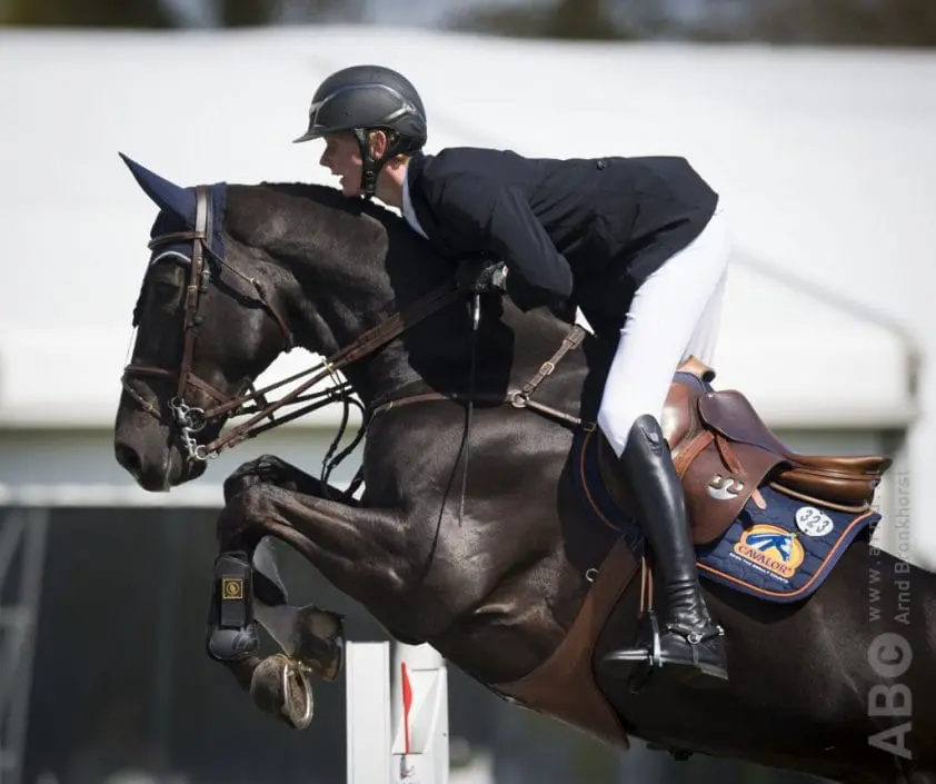 Go Easy de Muze verkocht featured image