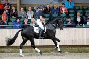 Foto: Melanie Brevink-van Dijk