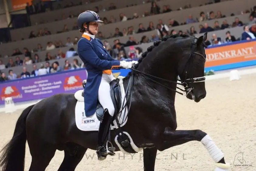 Scholtens en Desperado derde in internationaal GP-debuut featured image