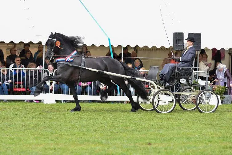 Jelmer Chardon stuurt Eise naar titel voor de sjees featured image