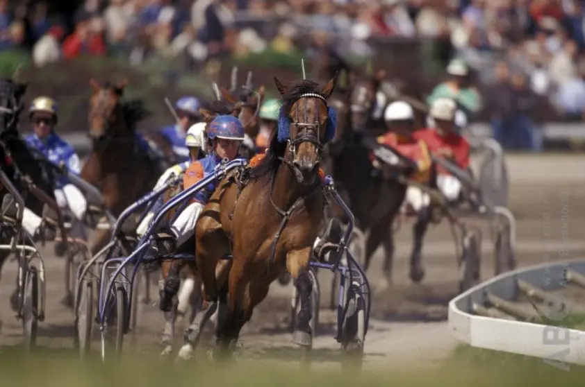 Groninger gemeenteraad zet zich in voor behoud drafsport Groningen Stadspark featured image