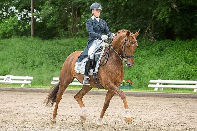 Bekende namen bij Prix St Georges in Hagen featured image