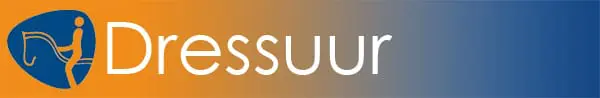 Dressuur header