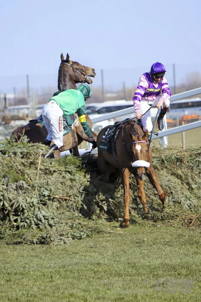 Jockey (41) overlijdt aan complicaties dwarslaesie featured image