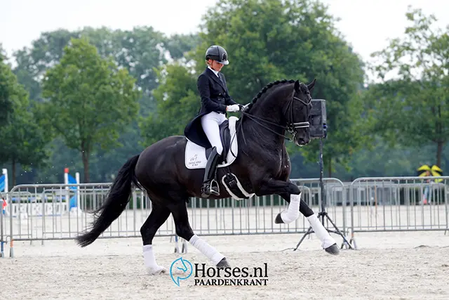 Desperado debuteert met Scholtens in Grand Prix featured image