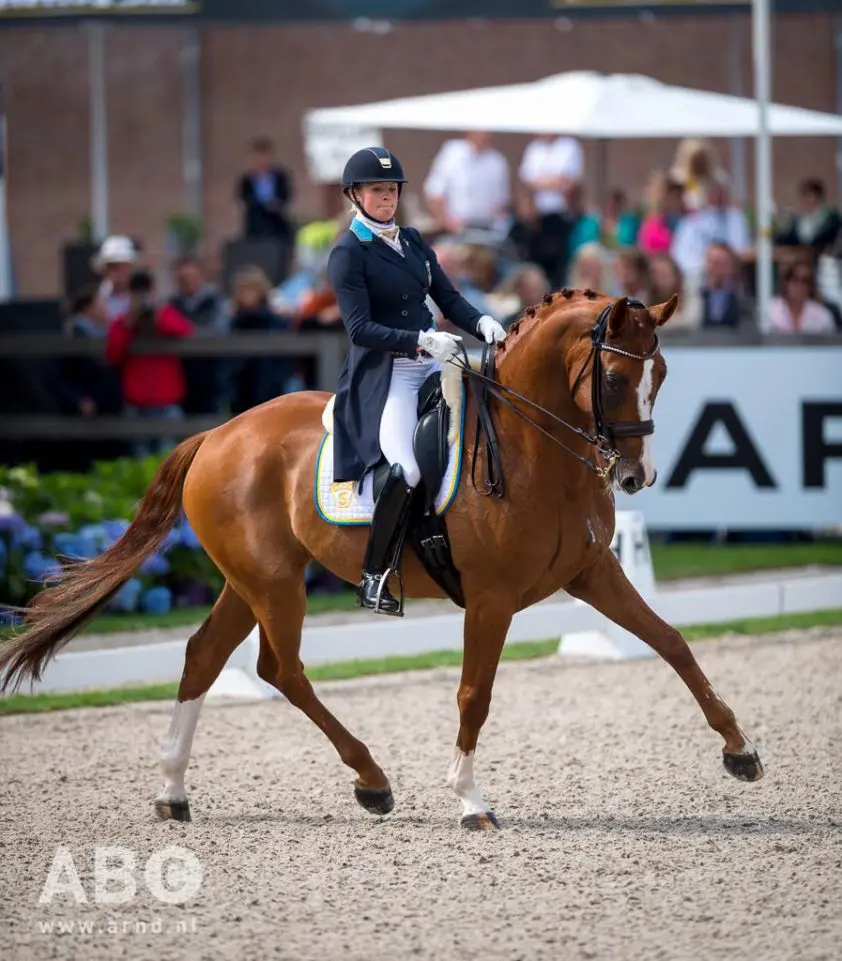 Oud WK-bekenden strijden tegen elkaar in CDI1* in Ermelo featured image