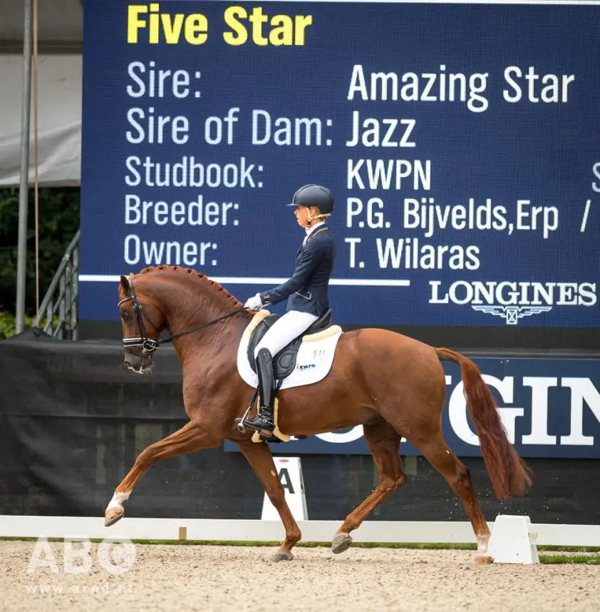 KWPN-hengst Five Star duikt op in Wellington featured image