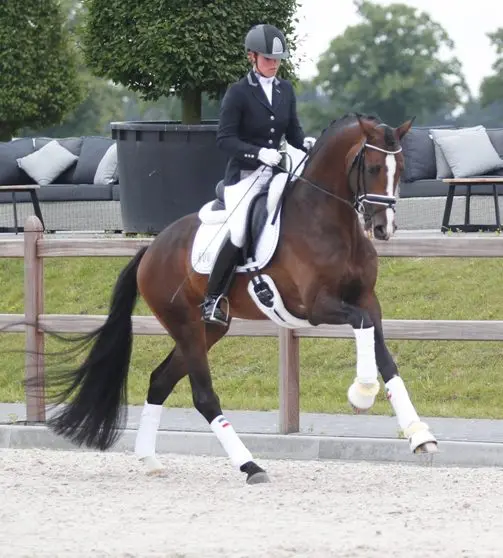 Saskia Poel met Hero-K naar dubbele CDI-winst featured image