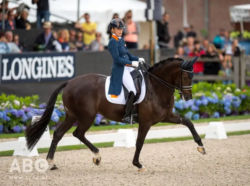 Lynne Maas verhuist naar Selevia Hoeve featured image