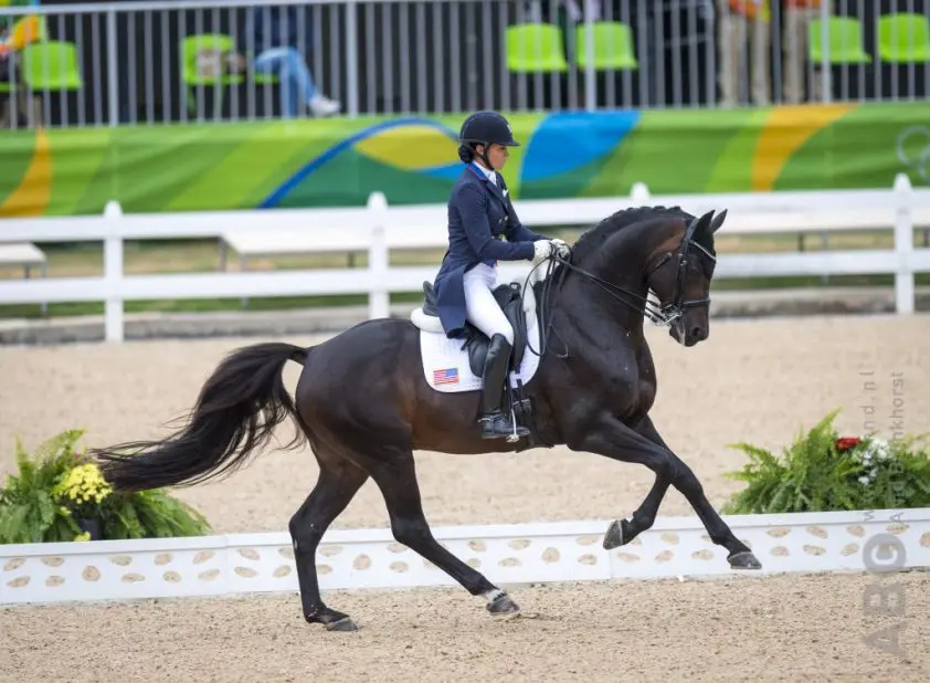 VS zetten in op Los Angeles 2028 met Kundrun Dressage Development Program featured image
