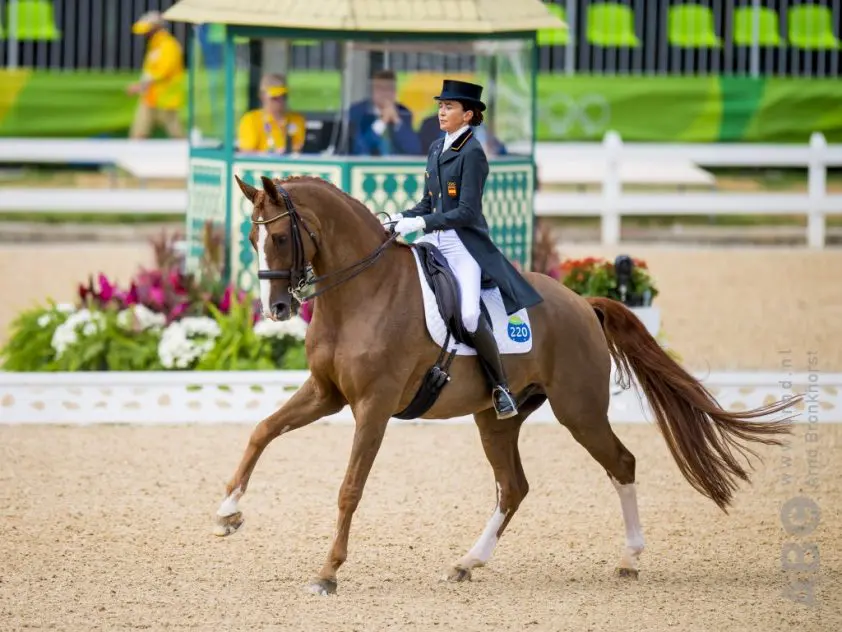 Spaans dressuurteam EK Rotterdam bekend featured image