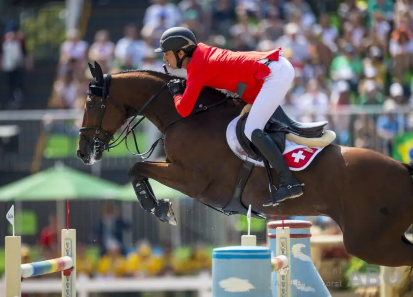 Steve Guerdat: ‘Nino verdiende kleine fout niet’ featured image