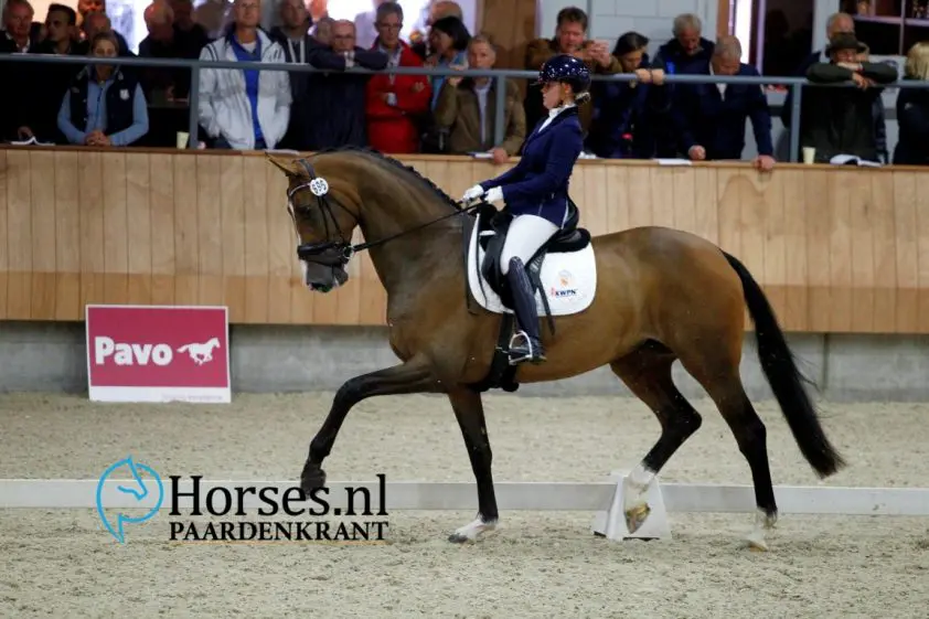 Great Lady TC, Jeanine Nieuwenhuis Foto: Melanie Brevink-van Dijk