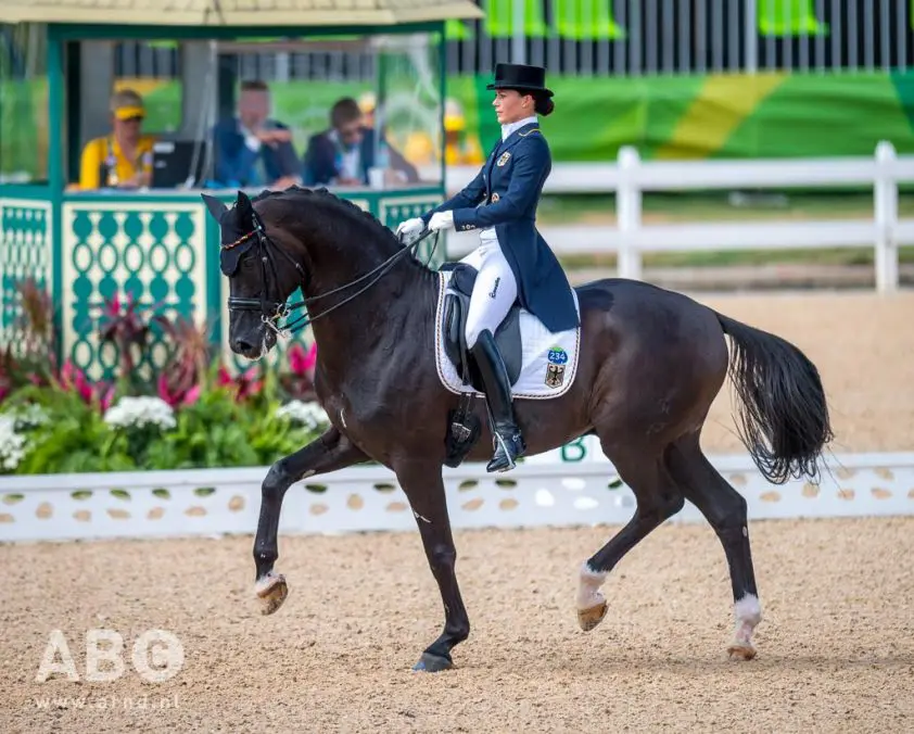 Desperados en Showtime niet naar EK featured image