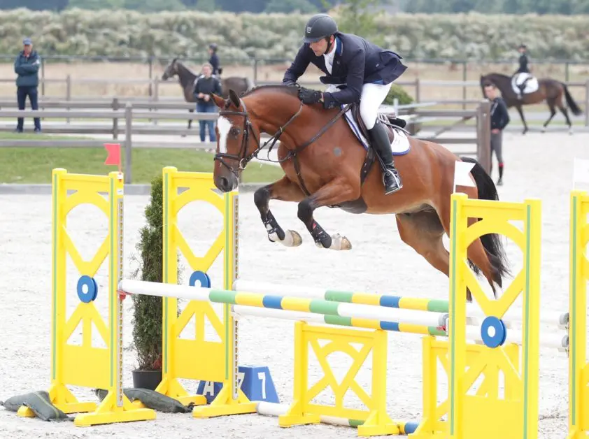 Finale Stal Hendrix-competitie zaterdag op CK regio Limburg featured image