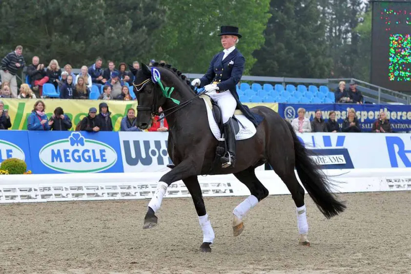 Dante Weltino wint rentree featured image