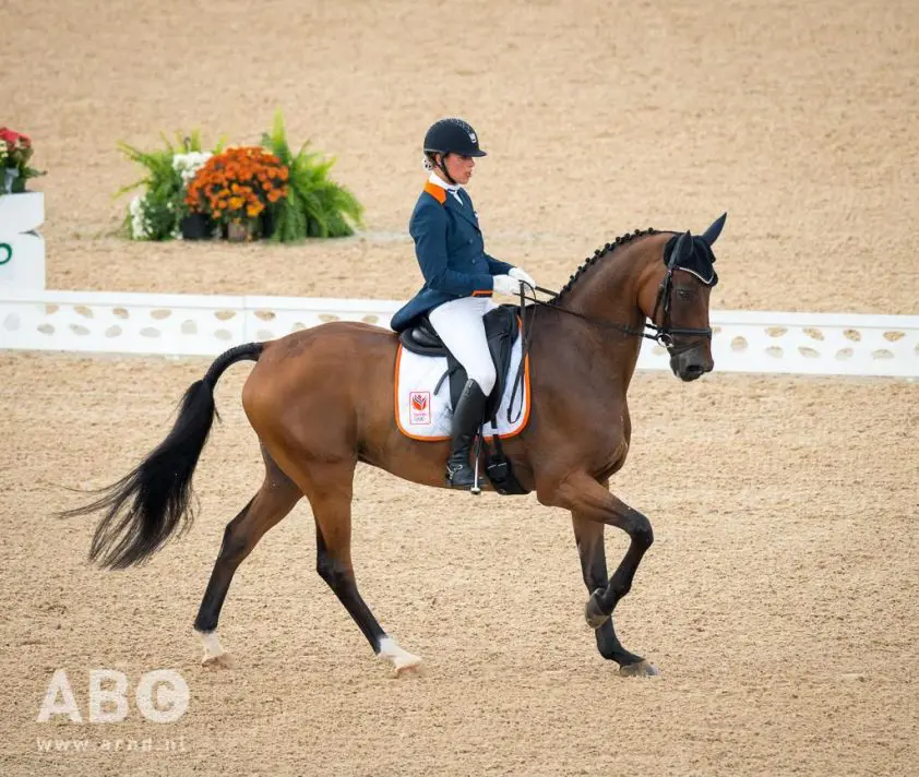 Bettina Hoy nog steeds aan de leiding EK eventing featured image
