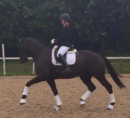 Charlotte Dujardin wint met nieuw talent featured image