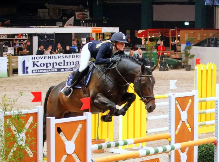 NRPS-hengst Gabriël SMH voor sport naar Amerika featured image