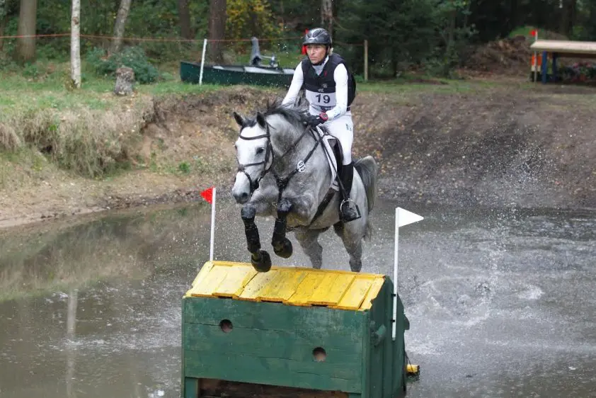 Klimke: ‘Een jong paard opleiden is het mooiste wat er is’ featured image
