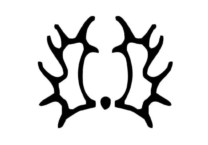 ‘WFFS komt minder voor bij Trakehners’ featured image