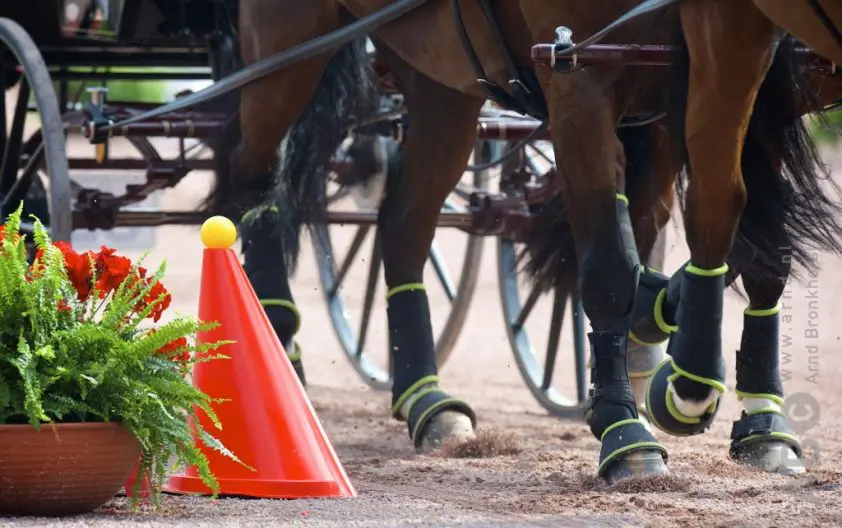 Driving Valkenswaard International 2023 geannuleerd featured image