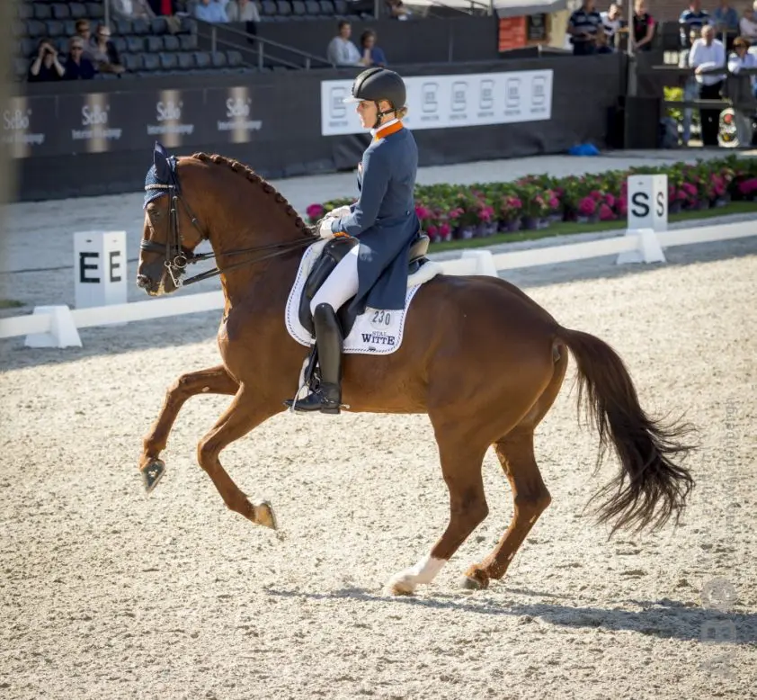 Madeleine Witte tijdelijk uit Olympisch kader gezet featured image