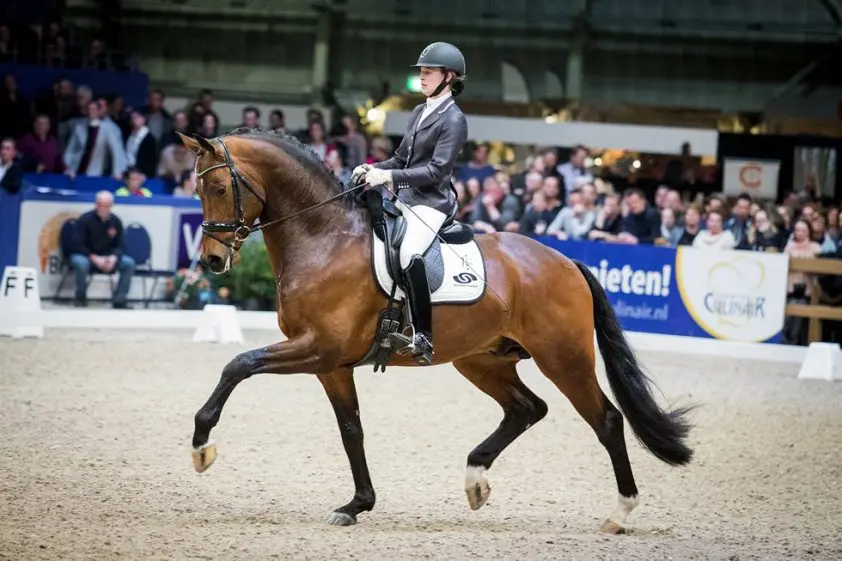 Guardian S voor de helft verkocht aan Anky en Sjef featured image