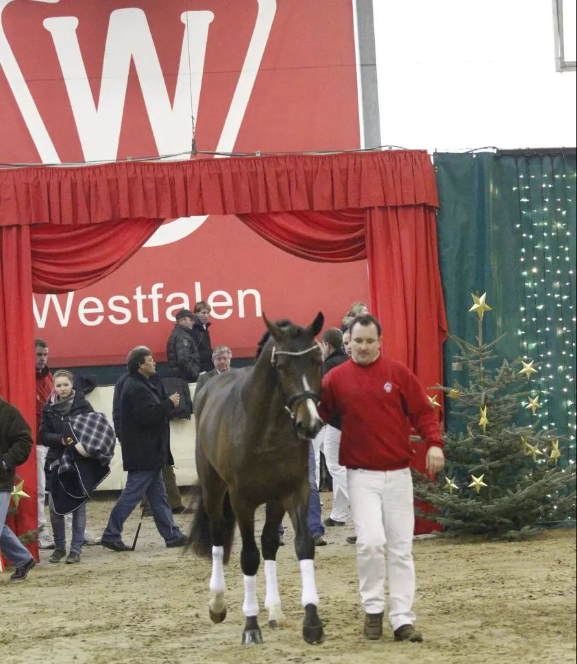 HK Westfalen: Collectie met video’s online featured image