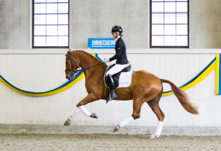 Dragon Welt naar topscore van 93 procent featured image